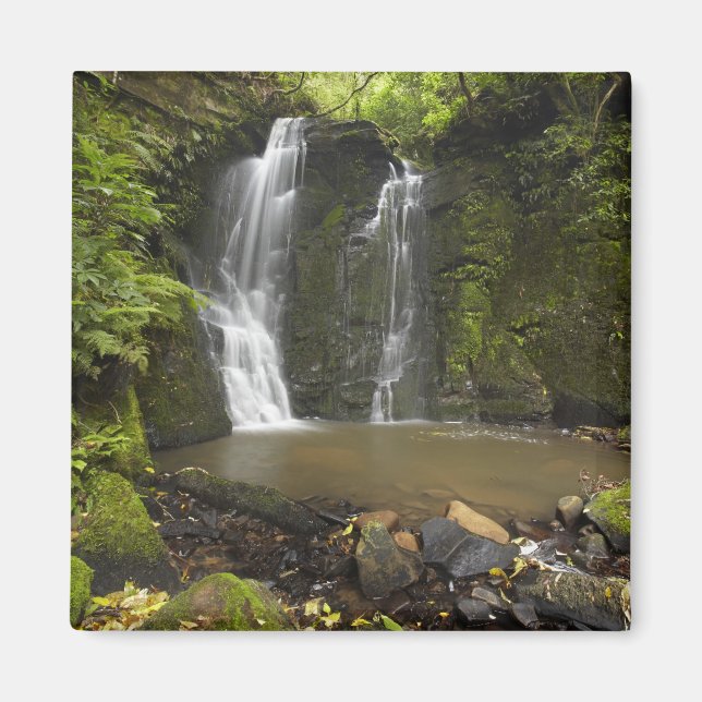 Íman Foguetes, Matai Falls (Frente)
