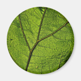 Íman Folha de Borboleta Verde