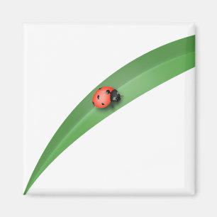 Íman Folha de Ladybug