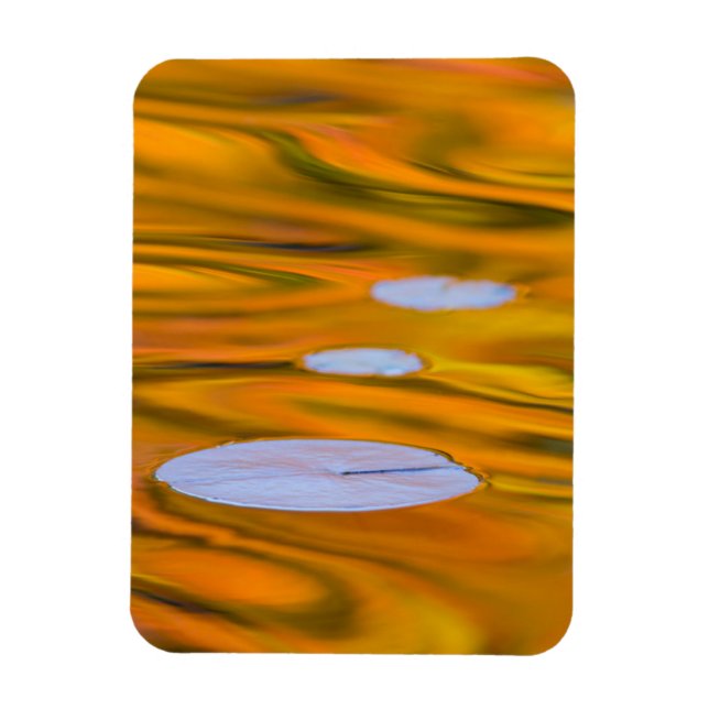 Íman Folha de lírio em água laranja, Canadá (Vertical)