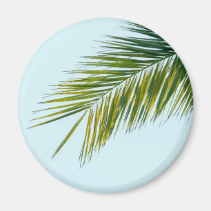 Íman Folha de Palmeira Verde Tropical em Azul Claro