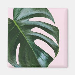 Íman Folha tropical de Monstera