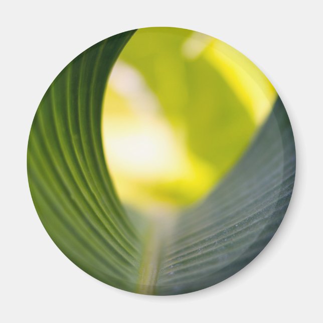 Íman Folha verde (Frente)