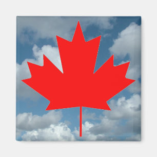 Íman Folha vermelha do Canadá e céu azul
