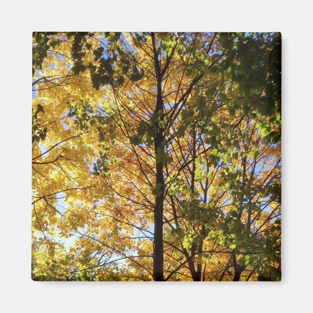 Íman Folhagem Amarelo e Verde (Frente)