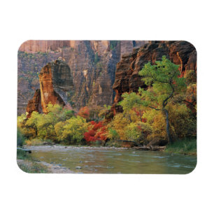 Íman Folhagem de queda ao longo do rio Virgin perto do