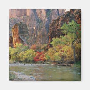 Íman Folhagem de queda ao longo do rio Virgin perto do