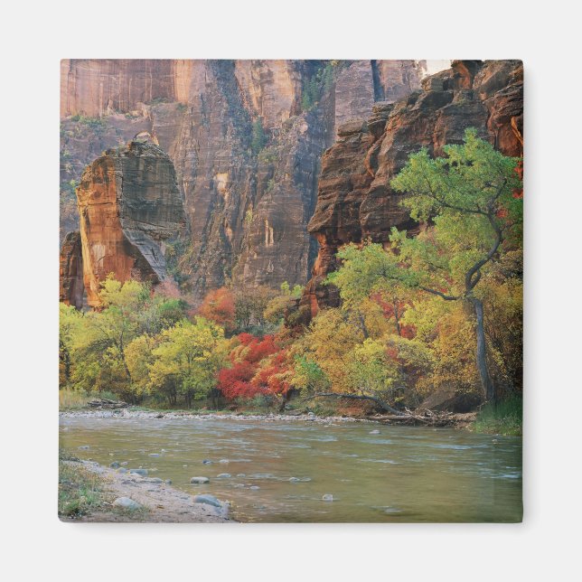 Íman Folhagem de queda ao longo do rio Virgin perto do  (Frente)