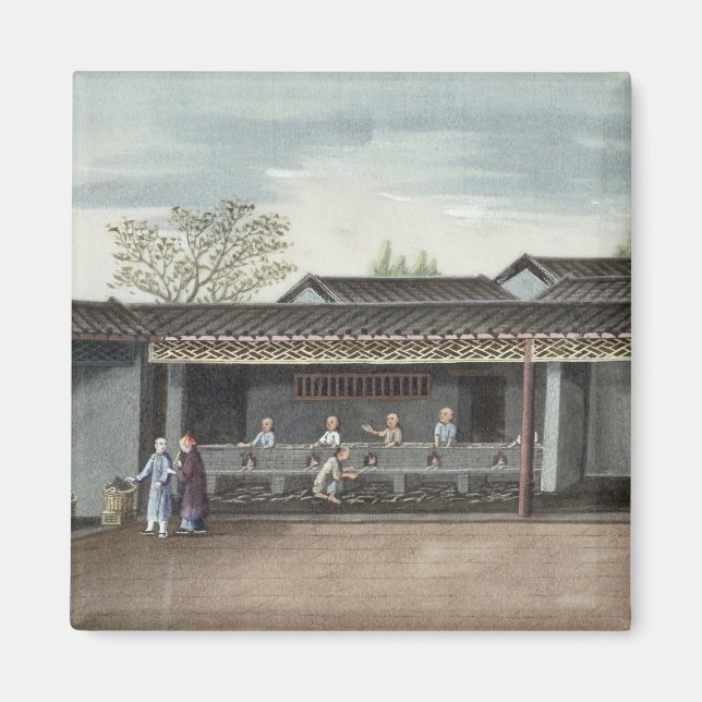 Íman Folhas de chá de secagem (m/c em papel) (Frente)