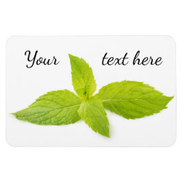 Íman Folhas de menta