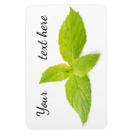 Íman Folhas de menta
