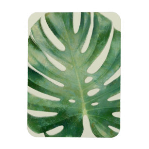 Íman Folhas de Monstera