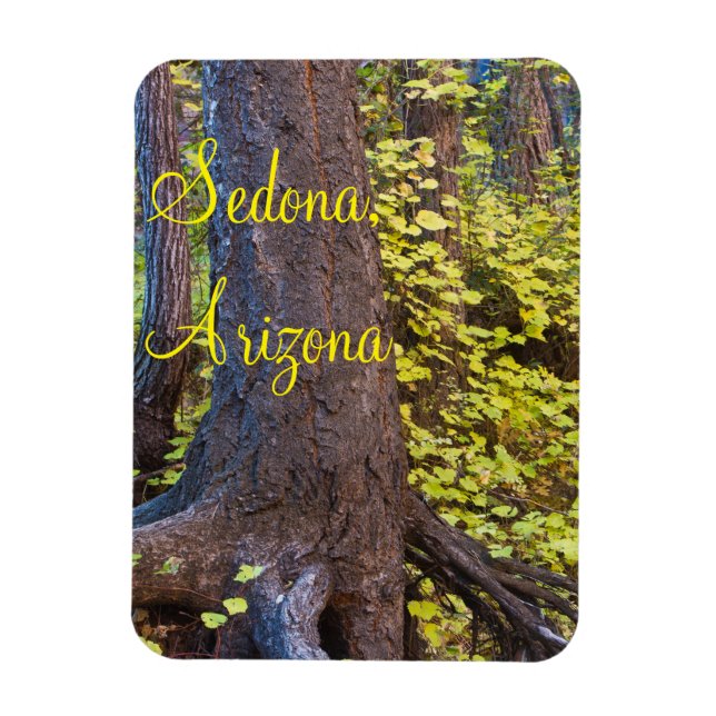 Íman Folhas de ouro na Trilha West Fork (Vertical)