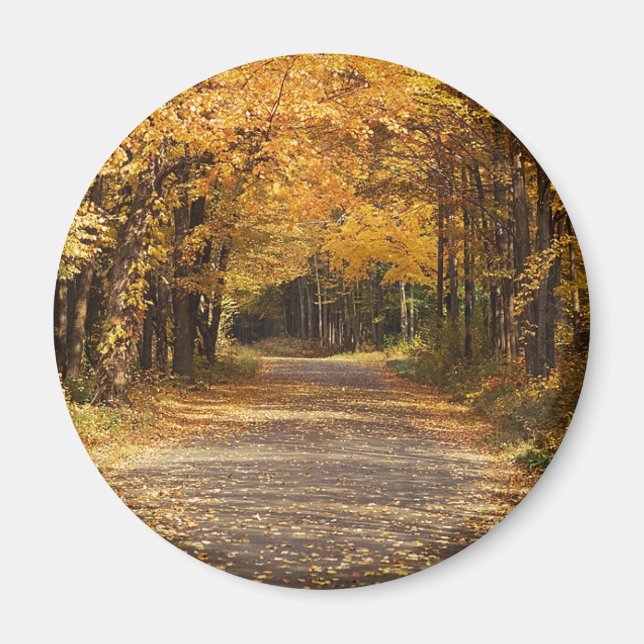 Íman Folhas de queda (Frente)