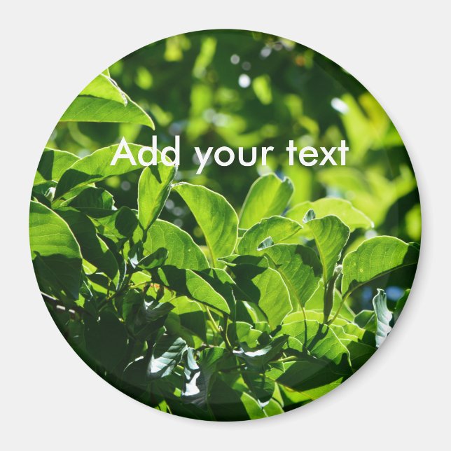 Íman Folhas primavera verde frescas. Fotografia natural (Frente)