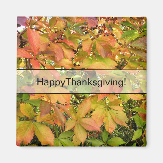 Íman Folhas selvagens da vinha do outono (Frente)