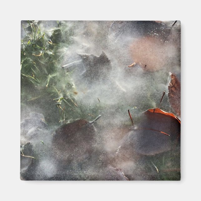 Íman folhas sob gelo (Frente)