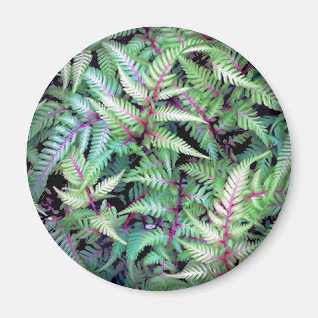 ÍMAN FOLHAS VERDES, ROUPAS DE SHARON SHARPE (Frente)