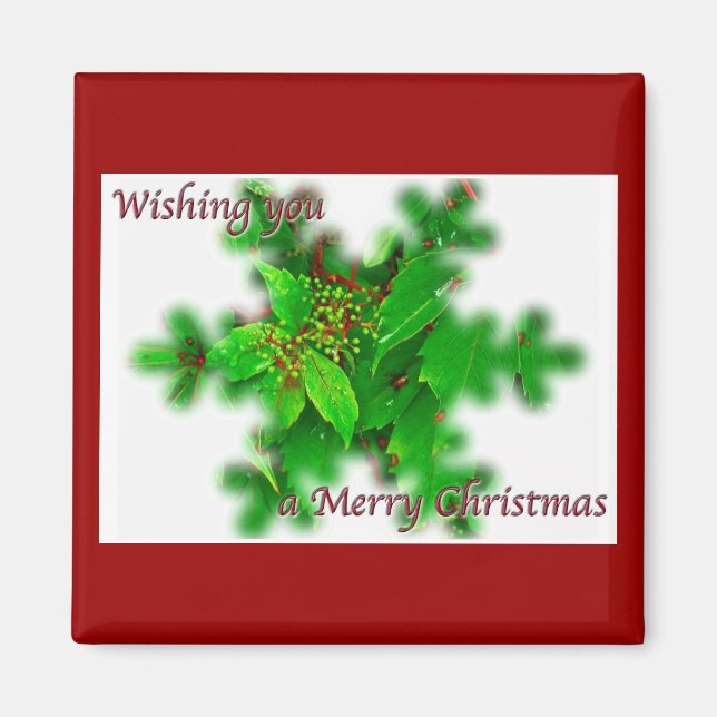 Íman Foliage Felry Christmas Magnet (Frente)