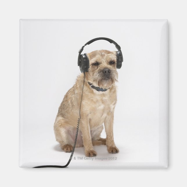 Íman Fones de ouvido para vestir cães pequenos (Frente)