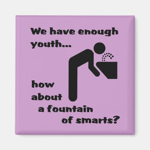 Íman Fonte do humor engraçado do ímã dos Smarts