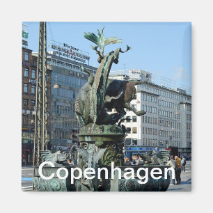 Íman Fonte no quadrado da câmara municipal em Copenhag