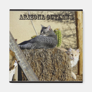 Íman Fora da lei da arizona