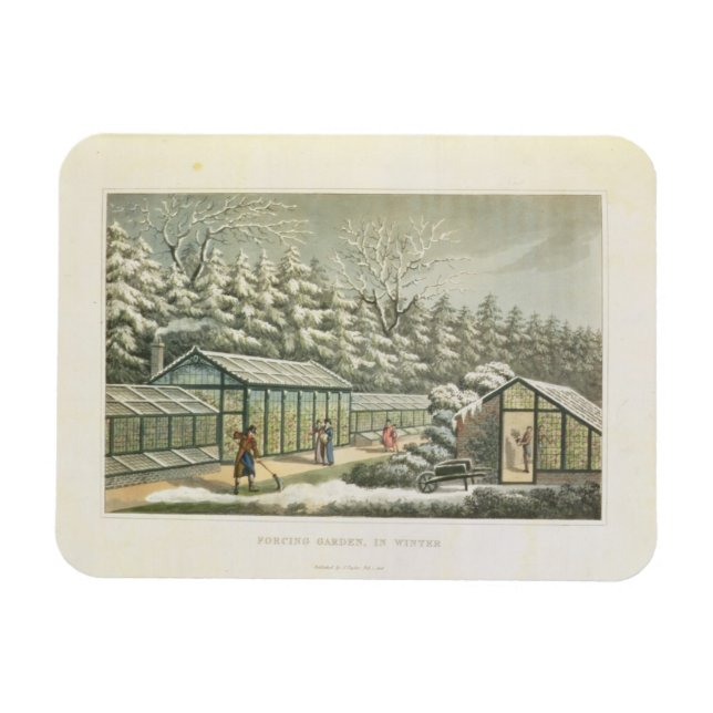 Íman Forçando Jardim no Inverno, de Fragmentos em Th (Horizontal)