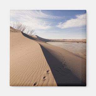 Íman Formações de dunas de areia. Parque Estadual das D