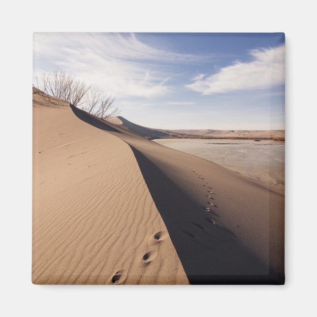 Íman Formações de dunas de areia. Parque Estadual das D (Frente)