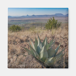 Íman Fort Davis Mountains Agave