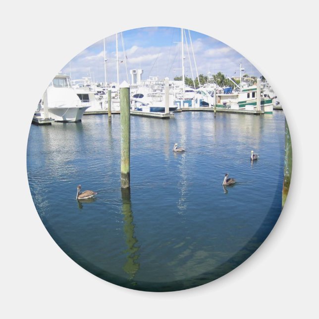 Íman Fort Lauderdale, Florida (Frente)