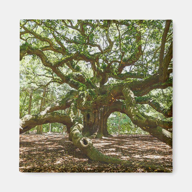 Íman Forte E Negrito (Frente)