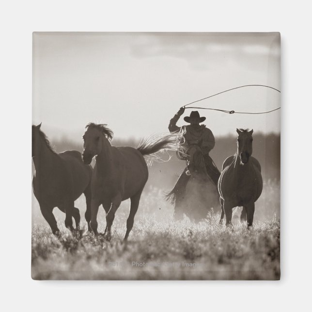 Íman Foto branca e negra de um cowboy abando de cavalos (Frente)