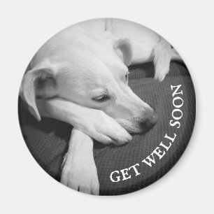 Íman Foto branca e negra de um lindo cão dormindo