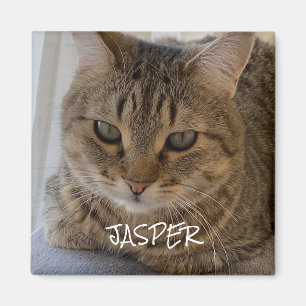Íman Foto Cat