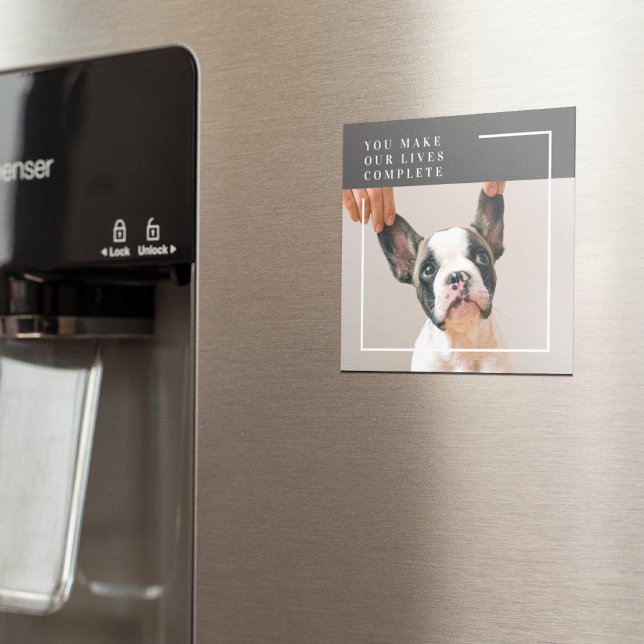 Íman Foto de Cachorro Moderno | Cachorro (Criador carregado)