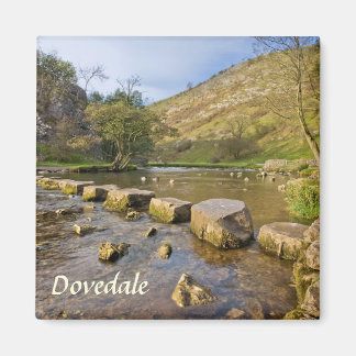 Íman Foto de Dovedale, Derbyshire Peak District souveni