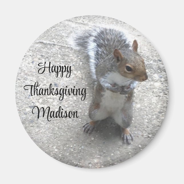 Íman Foto de Esquilo Bonito com Cauda Fluffy (Frente)