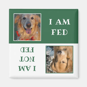 Íman Foto de Fed de Cão Branco Simples