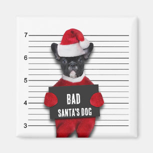 Íman Foto de ficha de Natal do Cão do Papai Noel de Mau