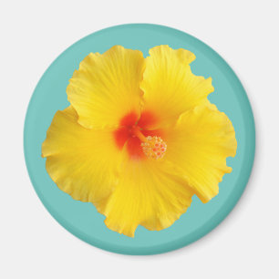 Íman Foto de Flor de Hibisco Amarela
