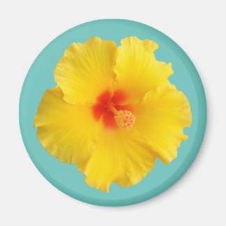 Íman Foto de Flor de Hibisco Amarela