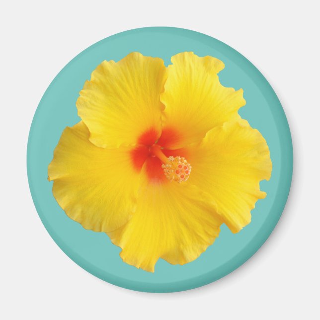 Íman Foto de Flor de Hibisco Amarela (Frente)
