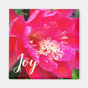 Íman Foto de Flor Rosa Tropical