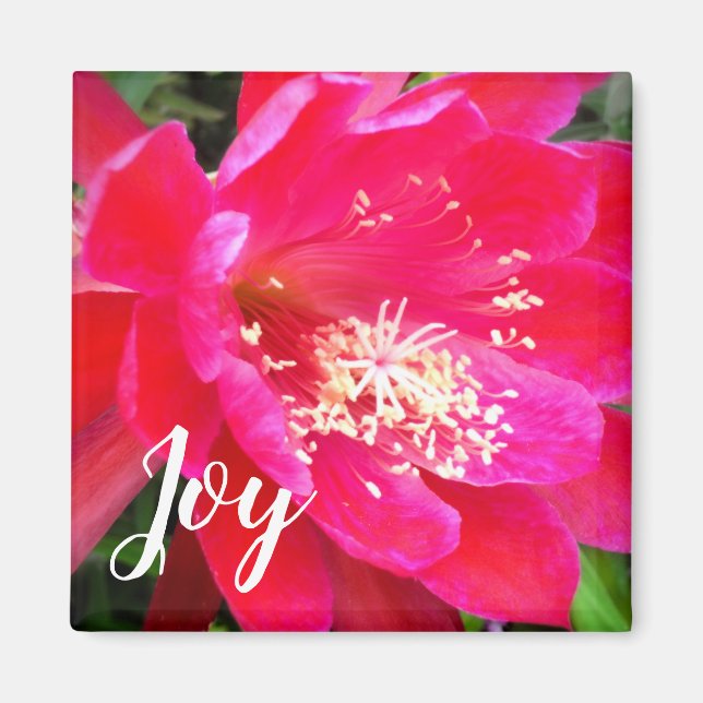 Íman Foto de Flor Rosa Tropical (Frente)