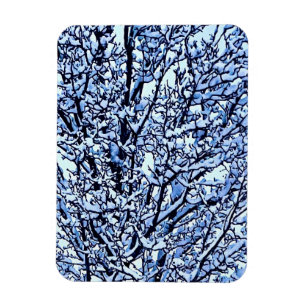 Íman Foto de Galhos de Árvore de Inverno Cobertos de Ne