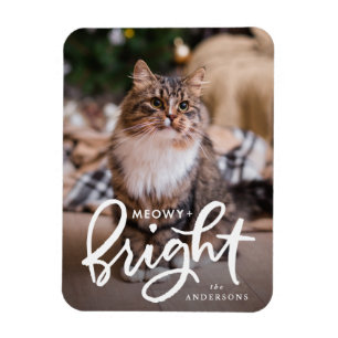Íman Foto de gato brilhante e brilhante