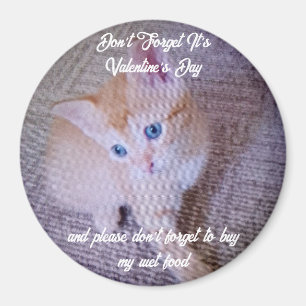Íman Foto de gato no Dia dos Namorados Humor Texto Sorr