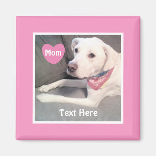 Íman Foto de Labrador Branco e Bonito Mix Cachorro Rosa